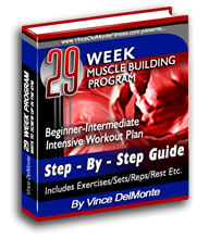 Beginner Intermediate 29 Week Intensive Workout Program