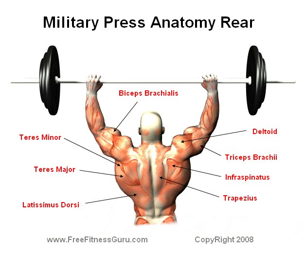 [Image: miliatry%20press%20rear.jpg]