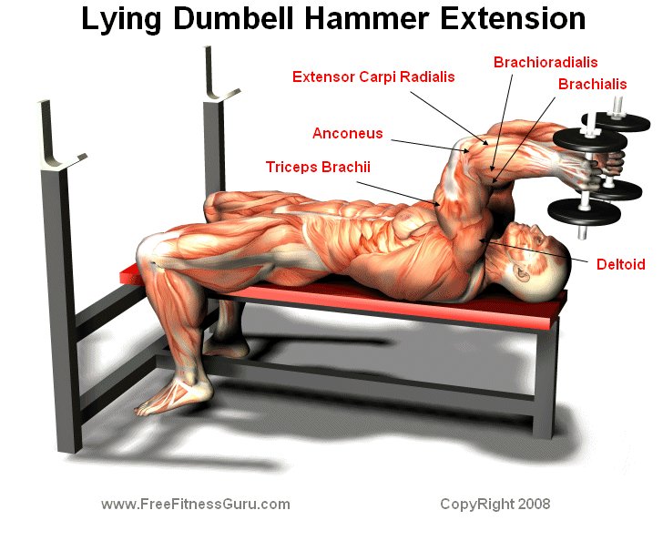 dumbell tricep extension