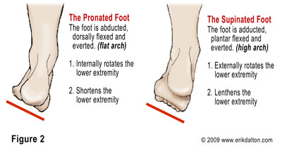 pronation