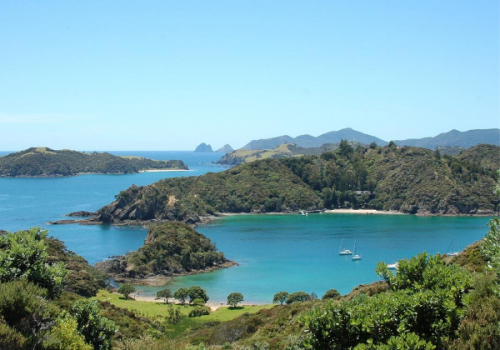 paihia