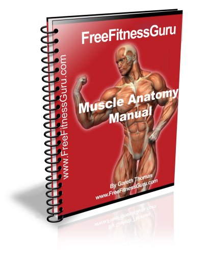 free bodybuilding anatomy manual